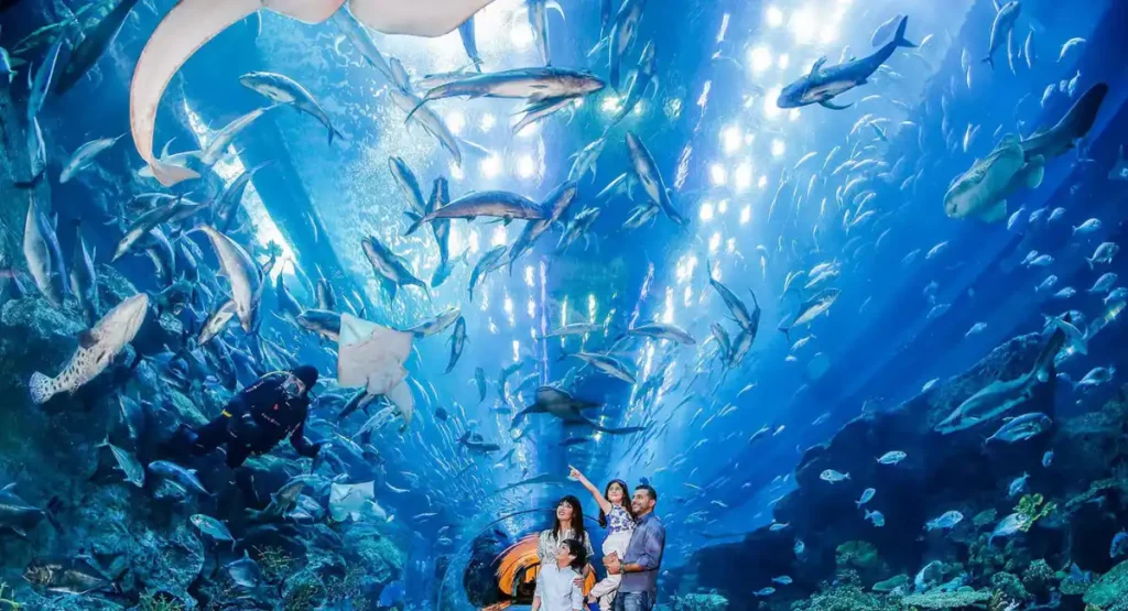 Dubai Aquarium and Underwater Zoo