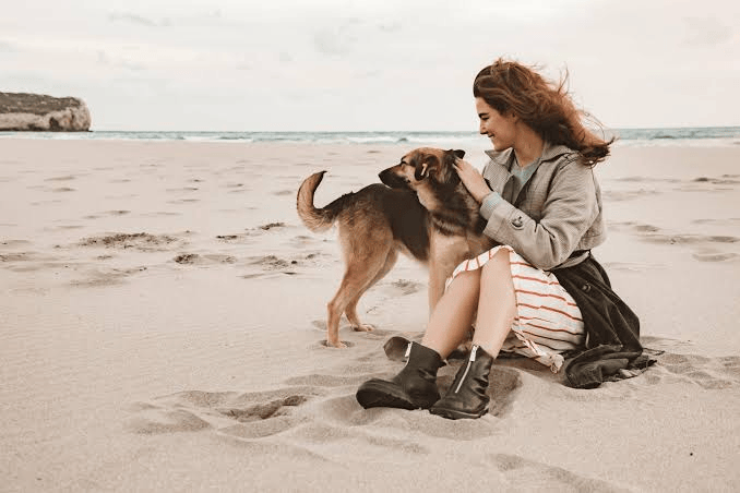 Pet-Friendly Beaches Dubai: Rules, Locations and What to Know