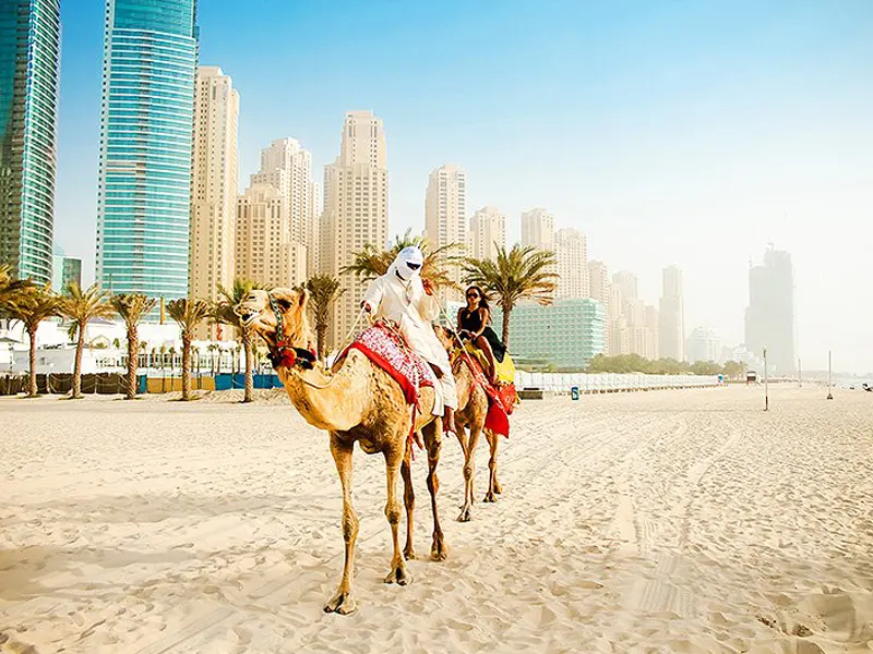 Camel Riding on Dubai Beach: Where & How