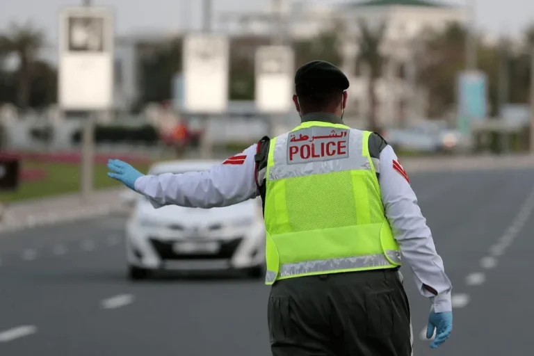 Dubai Police Fine Check