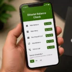 Etisalat Balance Check: Code, App & Online Methods